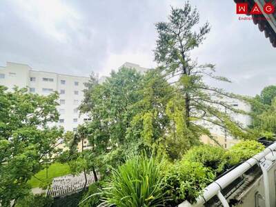 Terrassenwohnung mieten in 4020 Linz (Bild 1)