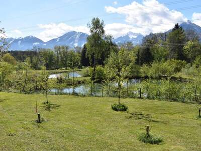 Gewerbeobjekt kaufen in 9072 Ludmannsdorf