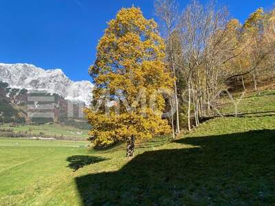 Grundstück kaufen in 8960 Niederöblarn (Bild 4)