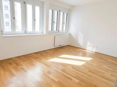 Anlageobjekt kaufen in 1060 Wien