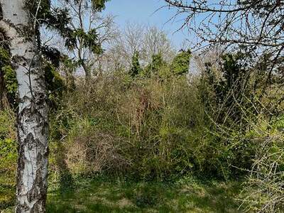 Grundstück kaufen in 2201 Gerasdorf (Bild 4)