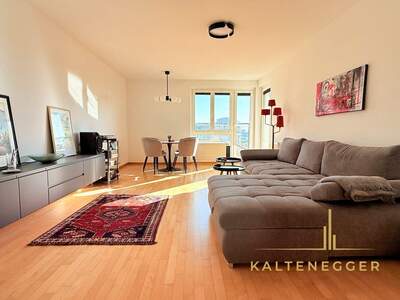 Wohnung mit Balkon mieten in 1230 Wien (Bild 1)