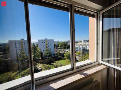 Terrassenwohnung kaufen in 4600 Wels (Bild 3)