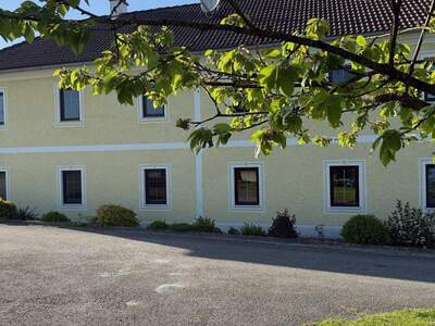 Wohnung mieten in 3250 Wieselburg