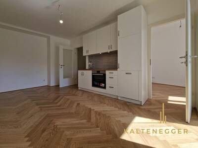 Wohnung mit Balkon mieten in 1190 Wien (Bild 2)