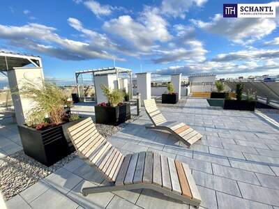 Terrassenwohnung mieten in 2320 Schwechat (Bild 2)