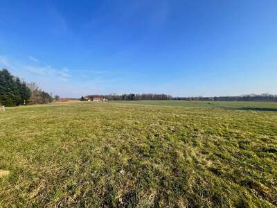 Grundstück kaufen in 8263 Großwilfersdorf