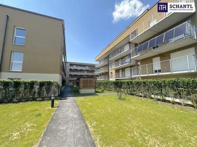 Terrassenwohnung kaufen in 8401 Kalsdorf (Bild 3)