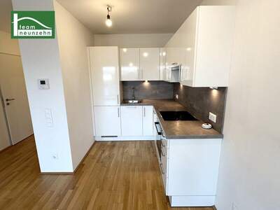 Terrassenwohnung mieten in 1030 Wien (Bild 2)