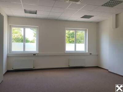 Gewerbeobjekt mieten in 3430 Tulln (Bild 4)