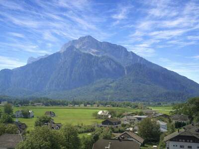 Grundstück kaufen in 5081 Anif