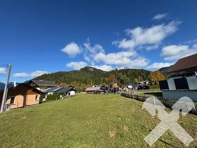 Grundstück kaufen in 8983 Bad Mitterndorf