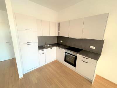 Apartment provisionsfrei mieten in 8020 Steiermark