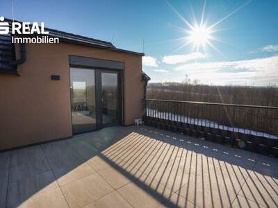 Terrassenwohnung kaufen in 2020 Hollabrunn (Bild 2)