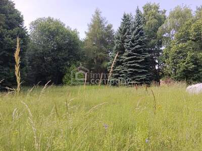 Grundstück kaufen in 2812 Hollenthon