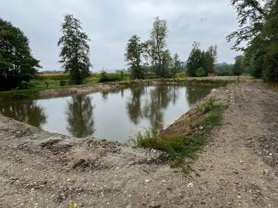 Grundstück kaufen in 4102 Goldwörth