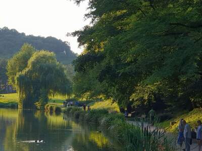 Haus mit Garten kaufen (Bild 3)