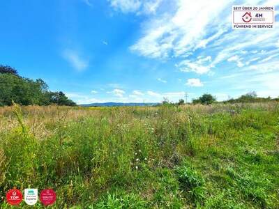 Grundstück kaufen in 2700 Wiener Neustadt