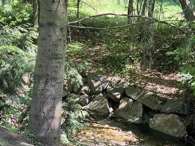 Mehrfamilienhaus kaufen in 3001 Mauerbach (Bild 4)