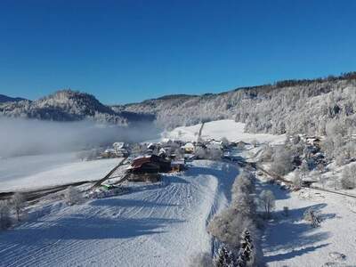 Haus kaufen in 9065 Ebenthal