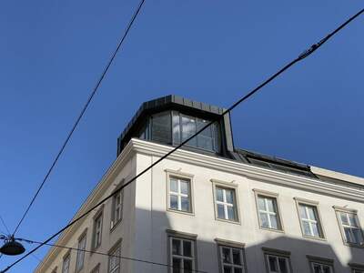 Altbauwohnung kaufen in 1090 Wien (Bild 5)