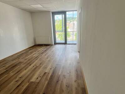 Gewerbeobjekt mieten in 4048 Puchenau (Bild 5)