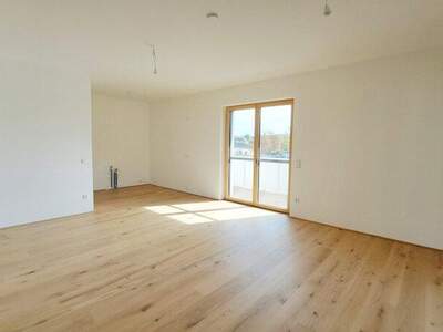 Terrassenwohnung kaufen in 7100 Neusiedl (Bild 3)