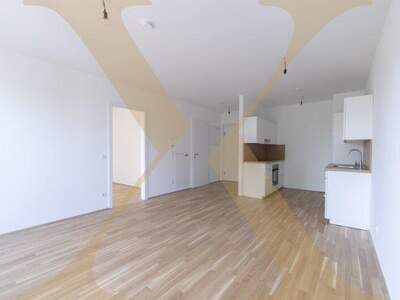 Terrassenwohnung mieten in 4020 Linz (Bild 1)