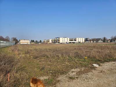 Grundstück kaufen in 2201 Gerasdorf