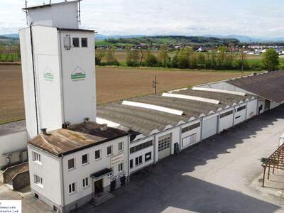 Gewerbeobjekt mieten in 4300 St. Valentin (Bild 1)