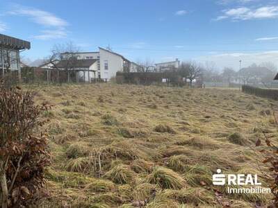 Grundstück kaufen in 4150 Rohrbach (Bild 1)