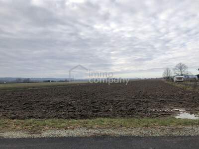 Grundstück kaufen in 8382 Weichselbaum