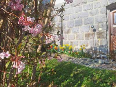 Haus kaufen in 4910 Ried