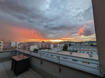 Terrassenwohnung kaufen in 4030 Linz (Bild 1)