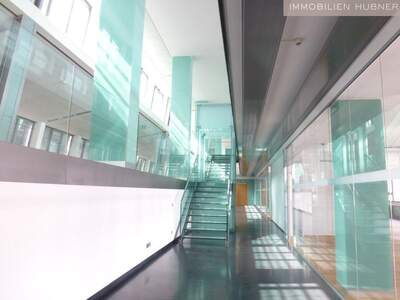 Gewerbeobjekt mieten in 1010 Wien (Bild 3)