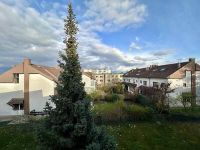 Wohnung mieten in 2340 Mödling