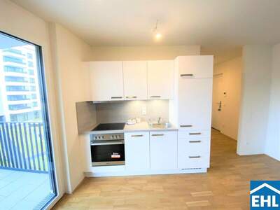 Terrassenwohnung mieten in 1100 Wien (Bild 2)