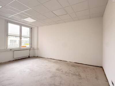 Gewerbeobjekt mieten in 2320 Schwechat (Bild 5)