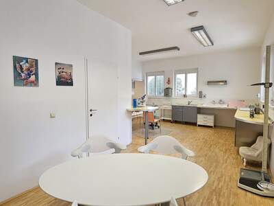 Gewerbeobjekt kaufen in 9800 Spittal (Bild 3)