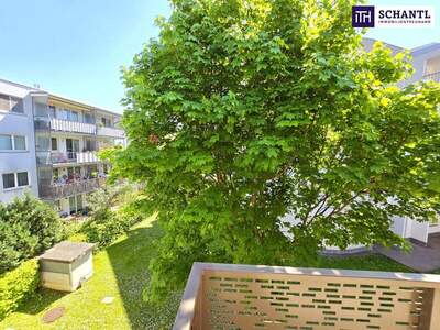 Terrassenwohnung kaufen in 1230 Wien (Bild 5)