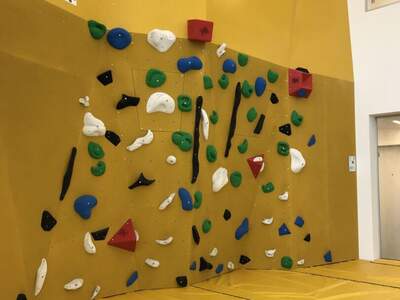 Wohnung mit Balkon mieten in 1220 Wien (Bild 3)