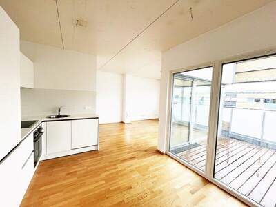 Terrassenwohnung mieten in 1200 Wien (Bild 2)