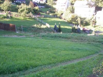 Gewerbeobjekt mieten in 4120 Neufelden (Bild 4)