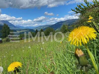 Grundstück kaufen in 8966 Aich (Bild 1)