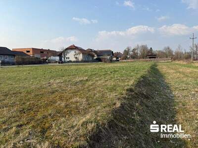 Grundstück kaufen in 4070 Pupping (Bild 1)