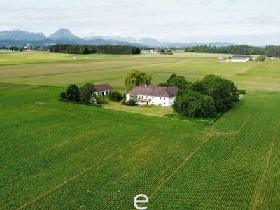 Haus kaufen in 4643 Pettenbach (Bild 1)