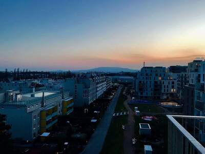 Wohnung mit Balkon mieten in 1230 Wien (Bild 3)