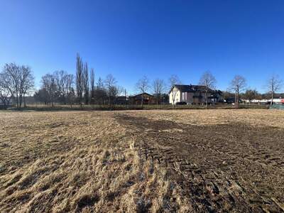 Grundstück kaufen in 8413 Ragnitz (Bild 4)