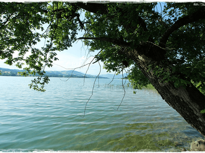 Mietwohnung provisionsfrei in 4894 Oberhofen