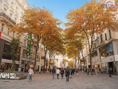 Gewerbeobjekt mieten in 1060 Wien